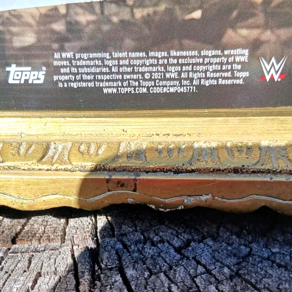 WWE Trading Cards Zack Gibson AND SHANTE The ADONIS Authentic Autographed NXT - Picture 12 of 14
